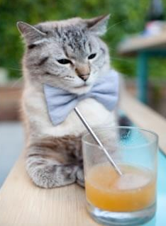 米兰登录入口-“因凡蒂诺回应质疑:赛事虽有瑕疵但总体成功” 第2张 米兰登录入口-“因凡蒂诺回应质疑:赛事虽有瑕疵但总体成功” 第2张