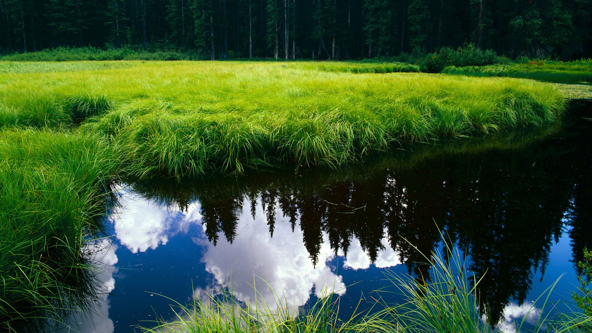 MILANSPORT下载-东亚杯中国女足惨败 球迷反思青训体系，中国女足憾别东京