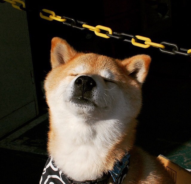 米兰体育-博卡尝试通过节奏变化打乱拜仁节奏未果，博卡的主场是哪个球场