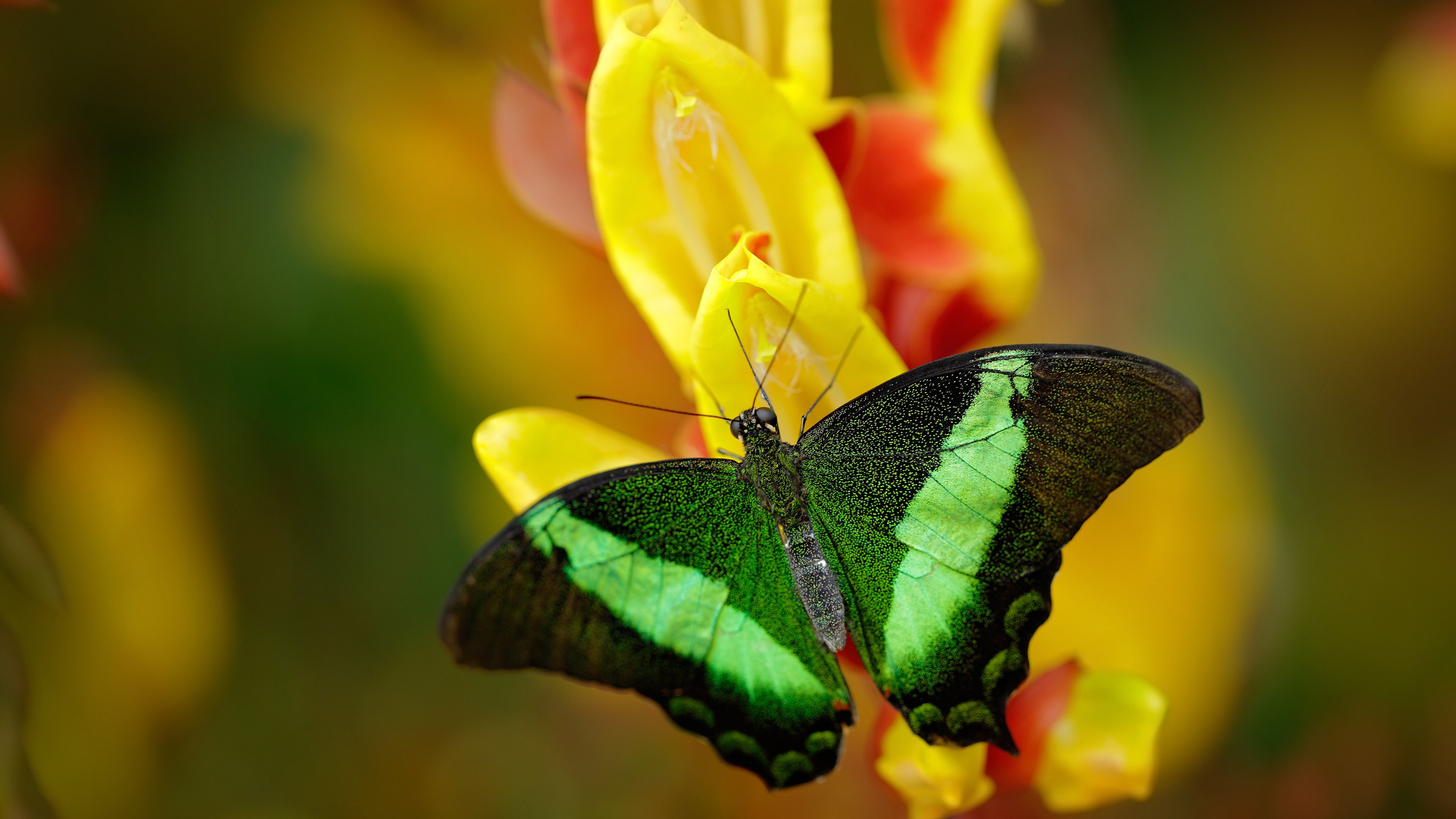 米兰体育APP-控球后卫竞争格局日趋激烈各队后场火拼，控球后卫都有谁厉害