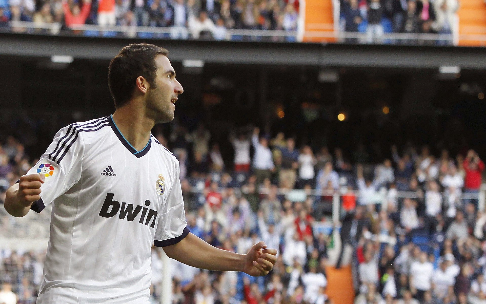 -“埃尔斯·霍斯特出色表现，助力南非橄榄球崛起”