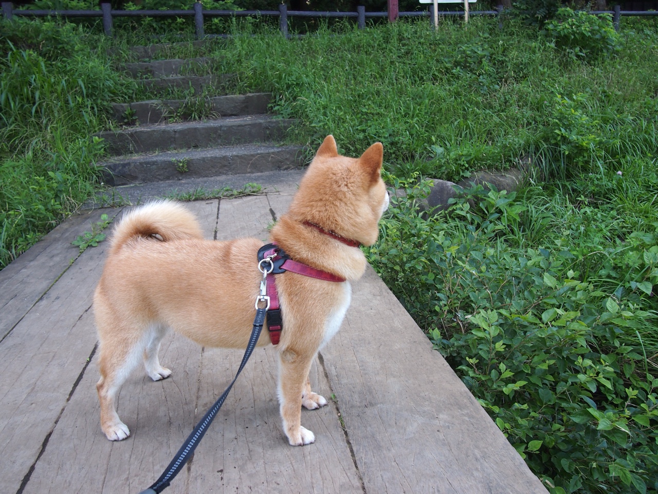 米兰体育APP-世界杯历史经典：精彩瞬间永远留存！，世界杯经典时刻