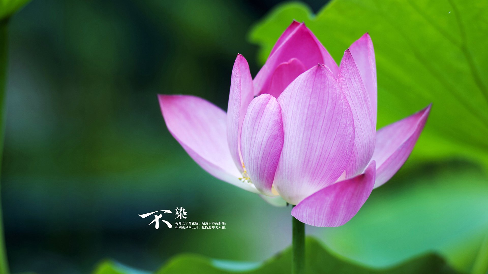 米兰登录入口-中国篮球开展乡村少年篮球梦计划覆盖百所学校，乡村篮球队