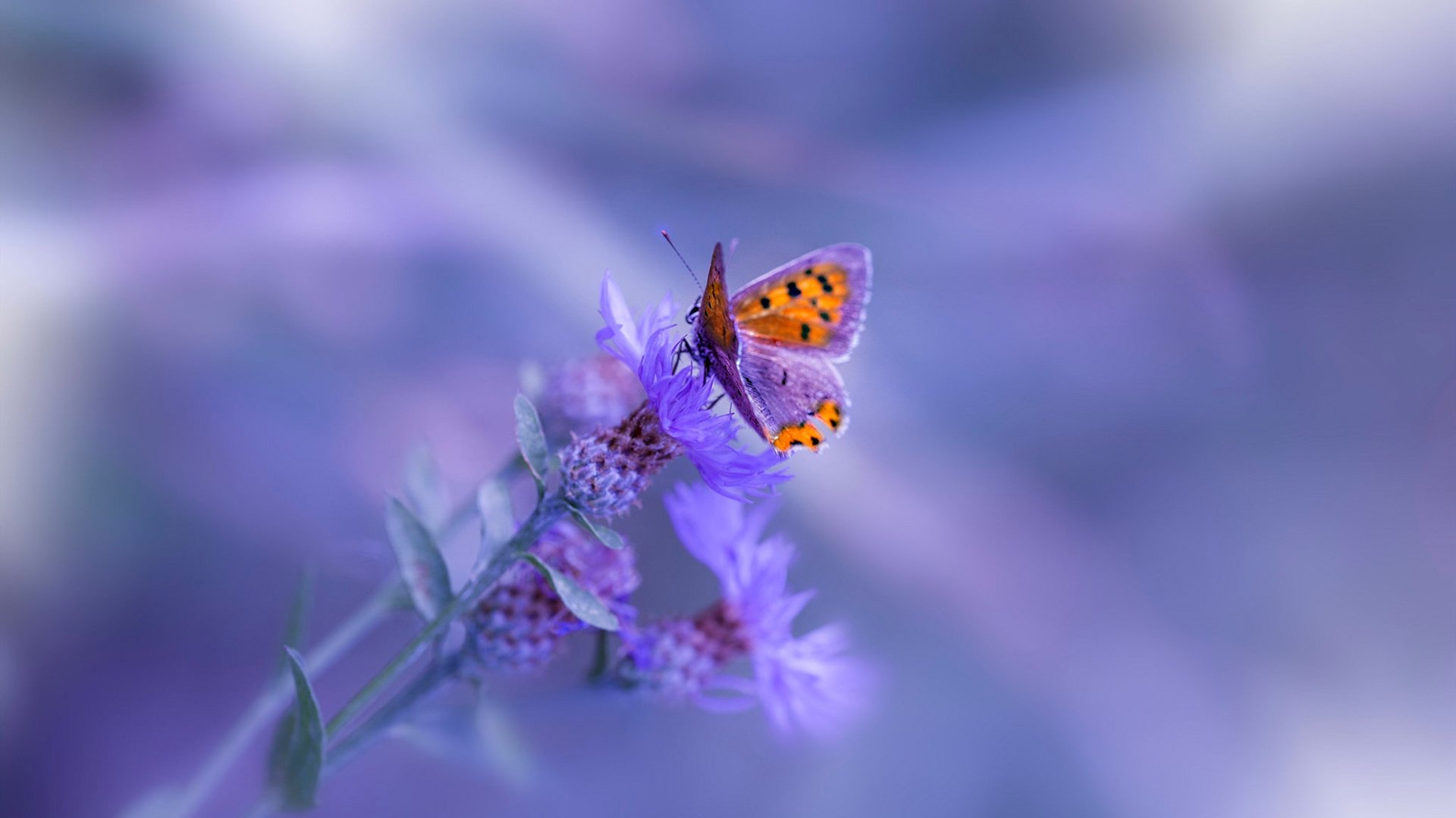 米兰登录入口-体育新闻中心通报运动会赛程协调机制运行成果,运动比赛新闻