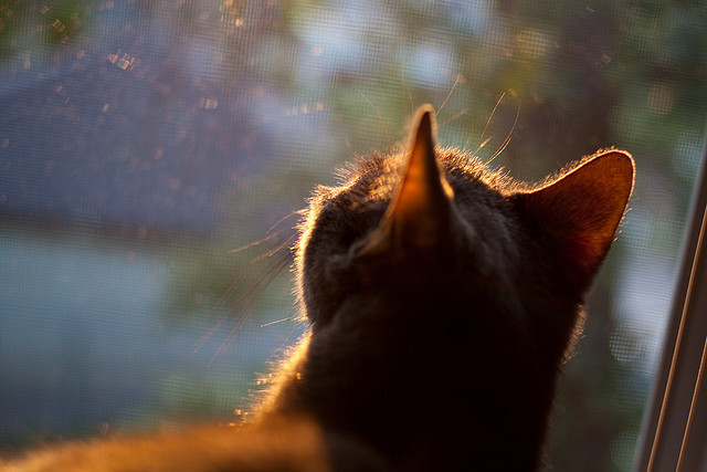 米兰体育-哈斯克稳扎稳打锁定决赛席位，哈斯克孜