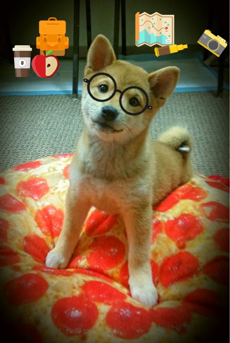 米兰登录入口-意甲团队协作：默契无间，赢取胜利！，意甲队伍