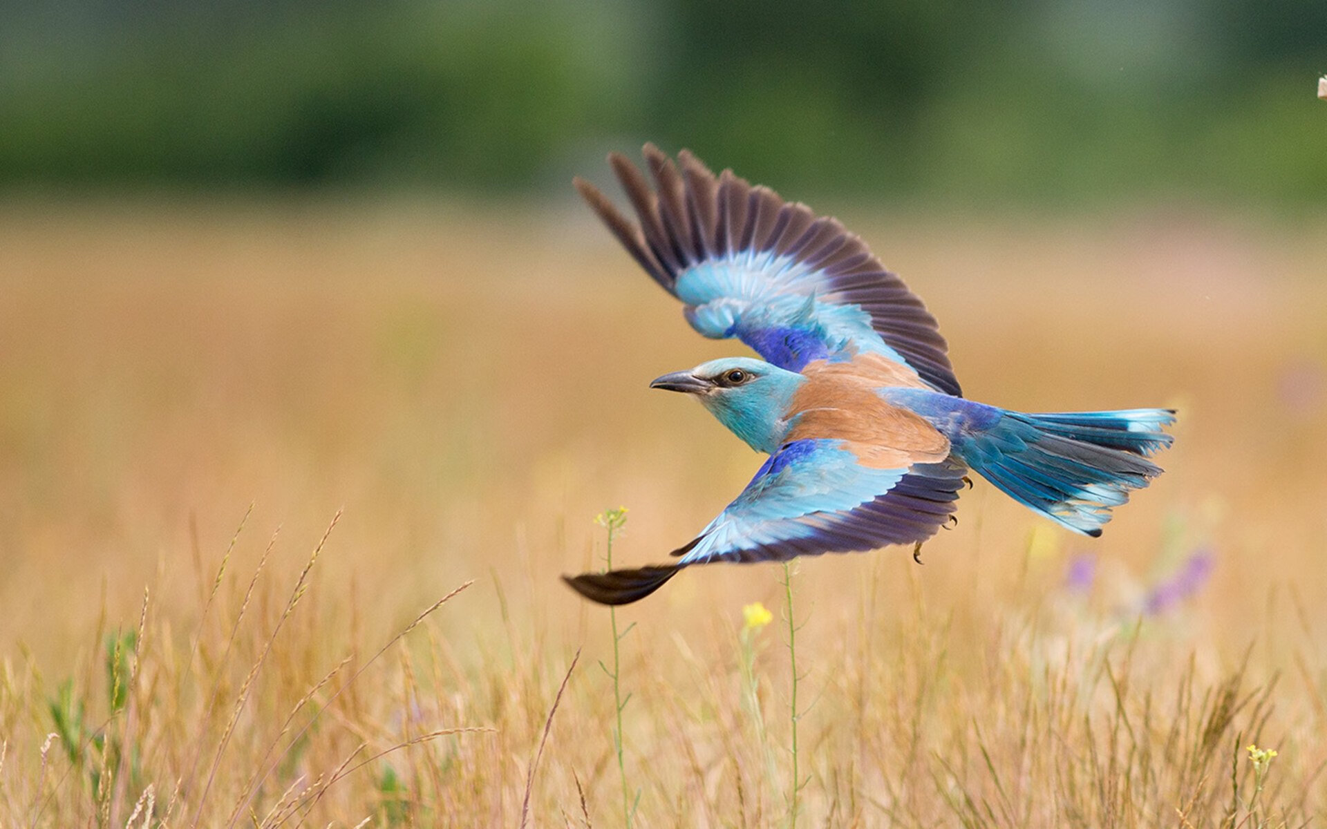 MILANSPORT入口-职业联赛开展球员形象摄影日提升视觉传播质感，球员形象照