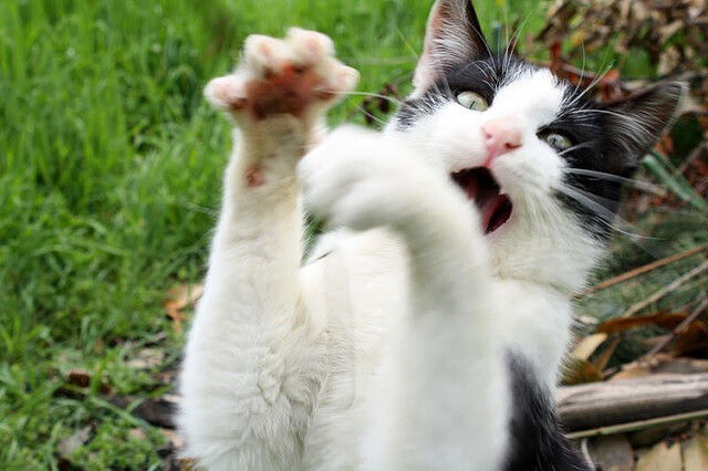 米兰登录入口-西甲奇迹逆转：经典瞬间流传千古！，西甲巅峰时期