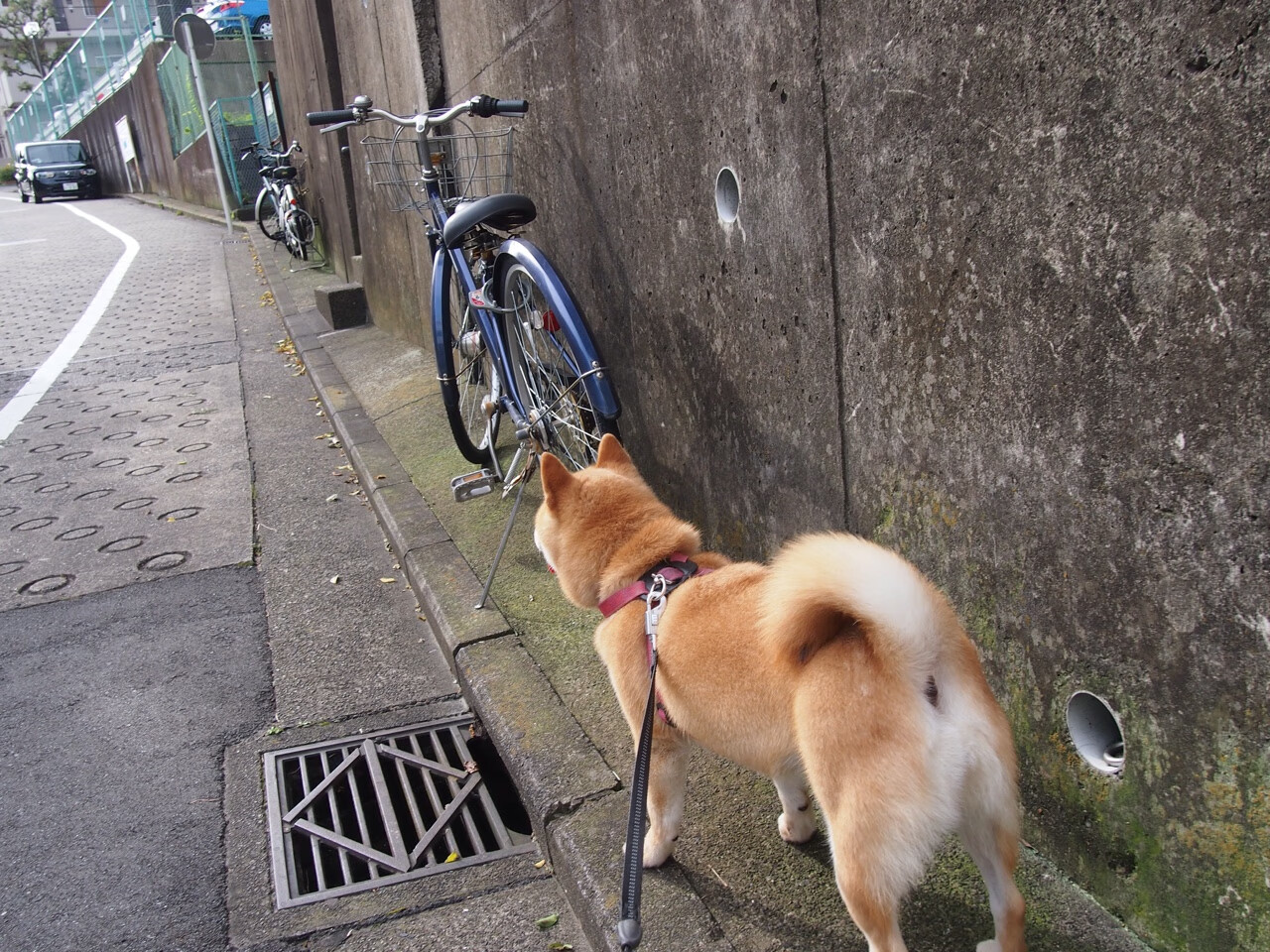 米兰登录入口-西甲奇迹逆转：经典瞬间流传千古！，西甲巅峰时期