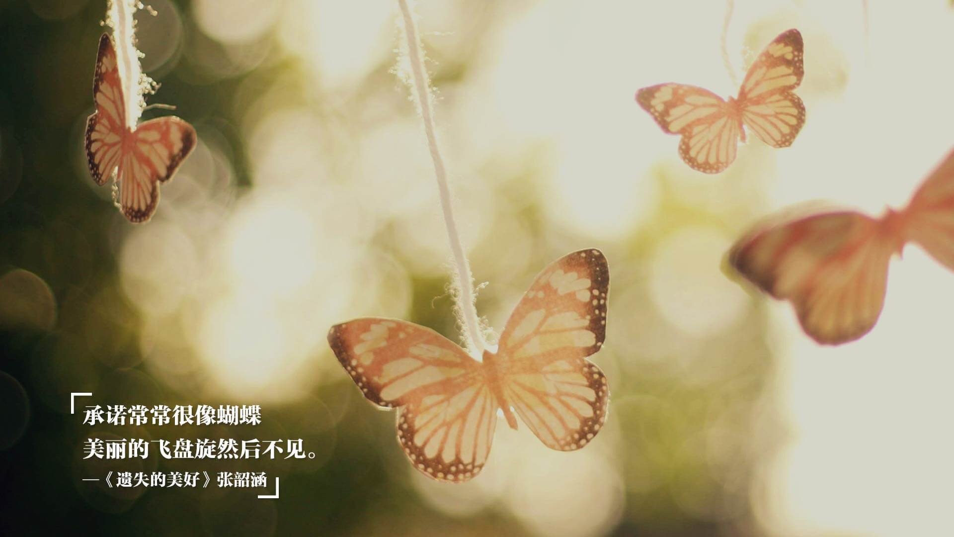 米兰体育-赞比亚男篮在非洲锦标赛中拼搏奋战，跨越历史新高，赞比亚球星