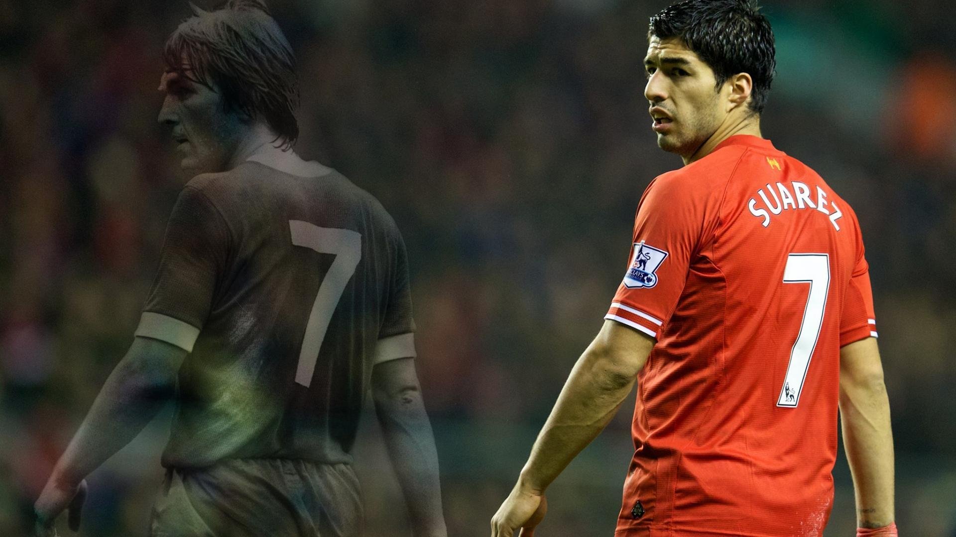 2026体育明星表现分析,体育明星榜样